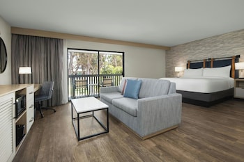 Studio Suite, 1 Bedroom