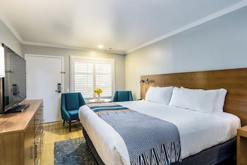 Room, 1 King Bed (Happy Camper)
