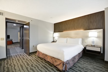 Suite, Accessible, Non Smoking