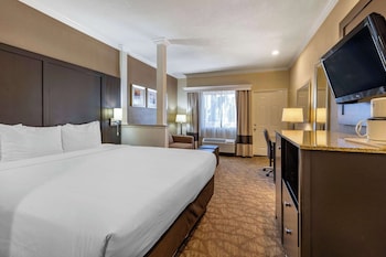 Deluxe Suite, One King Bed with Sofabed, Balcony,  Non Smoking