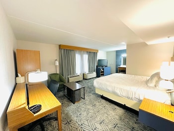 Suite, 1 King Bed with Sofa bed, Non Smoking