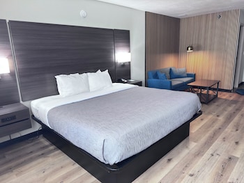 King Bed, Suite, 1- Sofa
