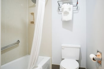 Room, 1 King Bed, Non Smoking, Refrigerator (Pet Friendly)