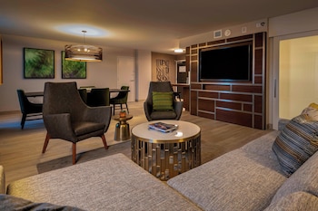 Suite, 1 King Bed with Sofa bed