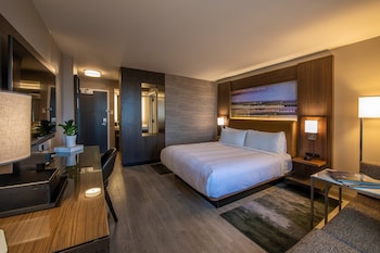 Room, 1 King Bed with Sofa bed (Mobility Accessible, Tub)
