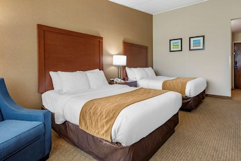 Standard Room, 2 Double Beds, Non Smoking