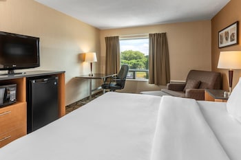 Deluxe Room, 1 King Bed with Sofabed, Refrigerator, Second Floor