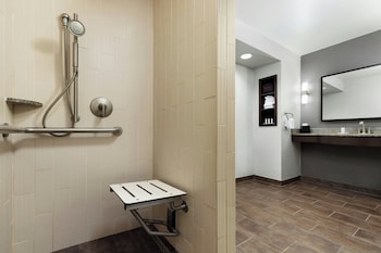 Deluxe Room, 1 King Bed with Sofa bed (Mobility Accessible, Roll-In Shower)
