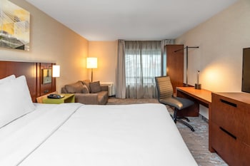 Room, 1 King Bed with Sofa bed