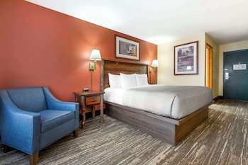 Standard Room, 1 King Bed, Non Smoking