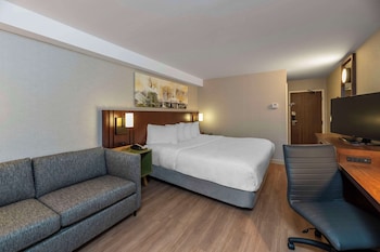 Deluxe Room, Refrigerator, Ground Floor (1 King Bed)