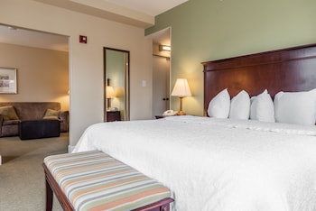 One King, One Bedroom Suite, Non-Smoking
