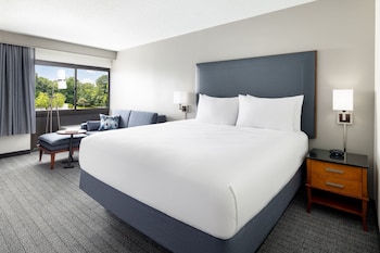 Suite, 1 King Bed with Sofa bed (Mobility/Hearing Accessible, Tub)