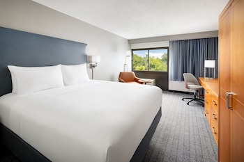 Room, 1 King Bed (Mobility/Hearing Accessible, Tub)
