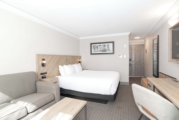 Standard Room, 1 King Bed with Sofa bed (South Tower)