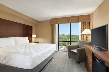 Standard Room, 1 King Bed