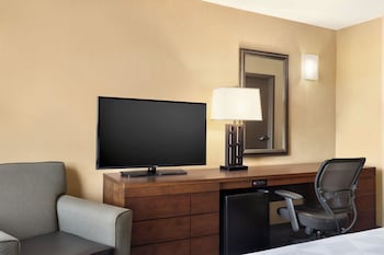 Standard Room, 1 King Bed with Sofa bed
