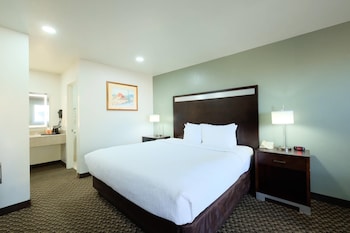 Room, 1 King Bed, Non Smoking