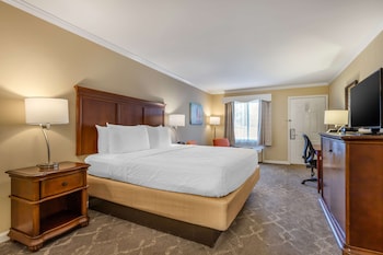 Standard Room, 1 King Bed, Smoking, Refrigerator & Microwave