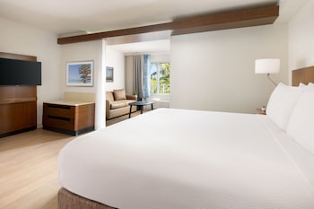 Superior Studio, 1 King Bed with Sofa bed
