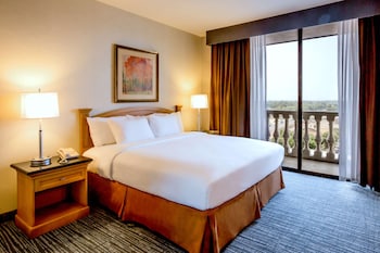 Suite, 1 King Bed with Sofa bed