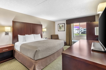 Room, 1 King Bed, Non Smoking