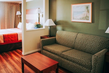 Suite, 1 King Bed, Non Smoking, Lake View (No Pets)