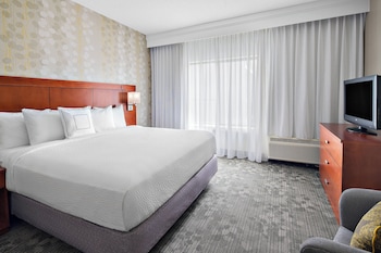 Room, 1 King Bed with Sofa bed