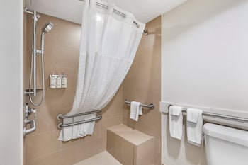 Standard Room, 1 King Bed, Roll-in Shower (Mobility Accessible)