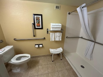 Standard Room, 1 Double Bed, Accessible, Non Smoking