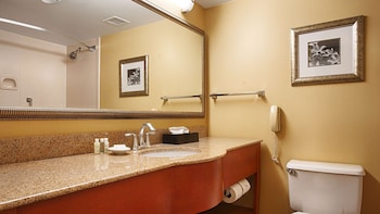 Suite, 1 King Bed, Non Smoking, Refrigerator & Microwave (with Sofabed)