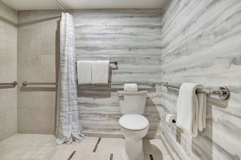 Room, Accessible (SHOWER)