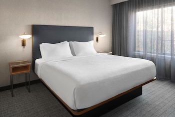 Room, 1 King Bed with Sofa bed (Mobility Accessible, Tub)