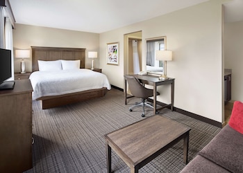 Studio Suite, 1 King Bed with Sofa bed
