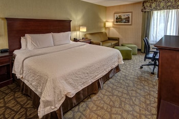 Room, 1 King Bed
