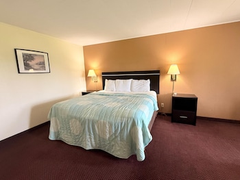 Room, 1 King Bed