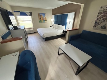 Standard Room, 1 King Bed, Non Smoking, Refrigerator & Microwave (with Sofabed)