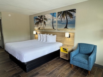 Deluxe Room, 1 King Bed, Non Smoking