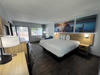 Room, 1 King Bed, Non Smoking