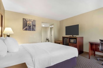Standard Room, 1 King Bed, Non Smoking (No Pets)