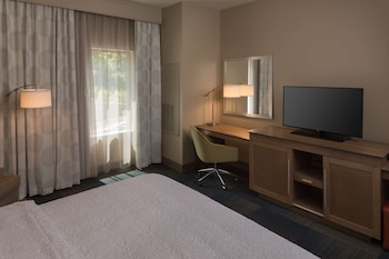Room, 1 King Bed, Non Smoking, Refrigerator