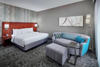 Room, 1 King Bed