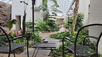 Standard Room, 2 Queen Beds, Non Smoking, Patio (Atrium View)