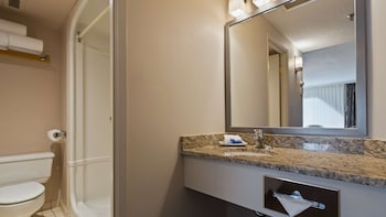 Suite, 1 King Bed, Non Smoking, Balcony (Atrium View;Separate Living Room)