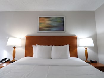 Standard Room, 1 King Bed, Non Smoking
