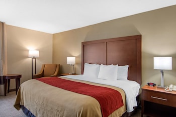 Room, 1 King Bed, Accessible, Non Smoking
