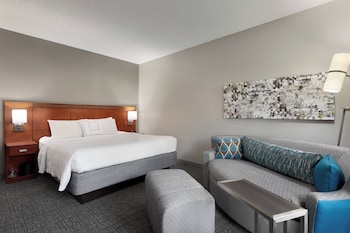 Room, 1 King Bed with Sofa bed (Mobility Accessible, Tub)