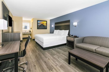 Room, 1 King Bed, Non Smoking