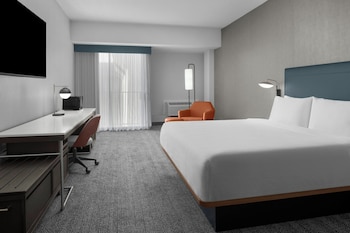 Room, 1 King Bed (Mobility & Hearing w/ Roll-in Shower)