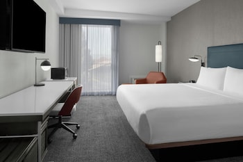 Room, 1 King Bed, Non Smoking (Mobility/Hearing Access, Roll-in Shwr)